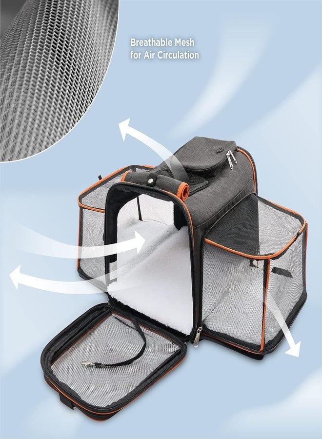 Dratal Cat Carrier, Airline Approved Pet, Portable Dog Bag, Breathable Small Travel Cage with Adjustable Shoulder Strap,(Grey - 43 * 28 * 28 CM) - Image 5
